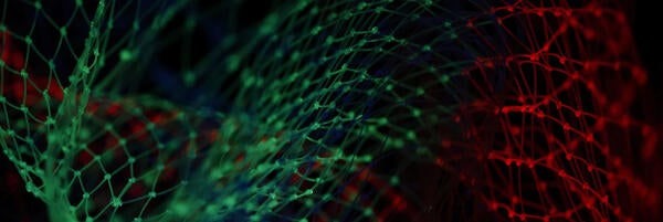 Unsplash- glowing net